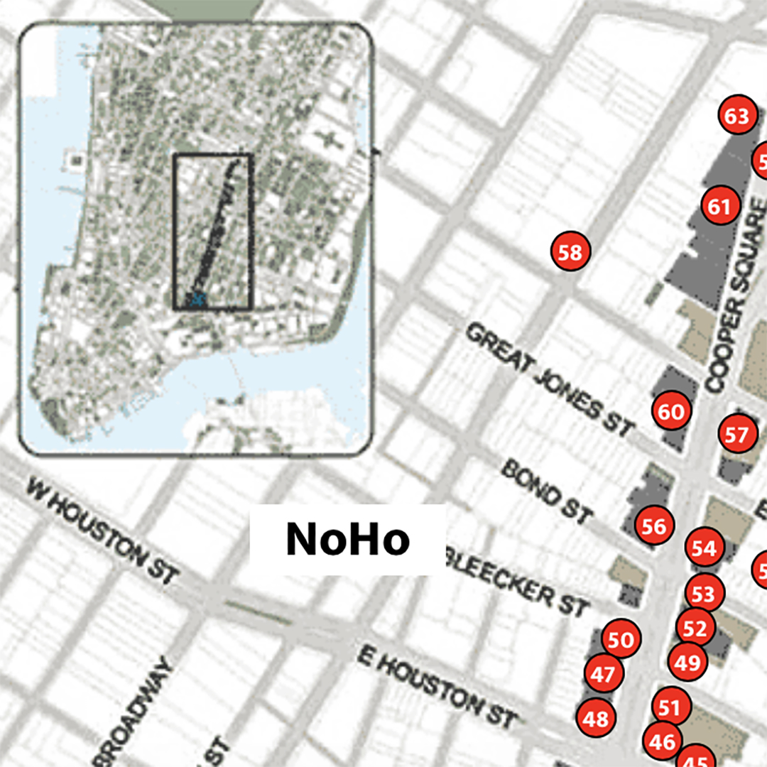 Bowery Alliance of Neighbors